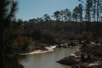 Undeveloped Land for sale in Brantley County, Georgia