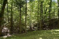 Undeveloped Land for sale in Gwinnett County, Georgia