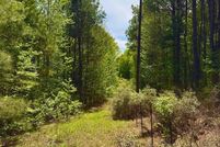 Farm and Ranch for sale in Cass County, Texas
