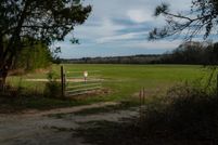 Land for sale in Henry County, Alabama