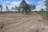 Land for sale in Okeechobee County, Florida