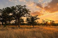 Land for sale in Gillespie County, Texas