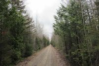 Land for sale in Alger County, Michigan