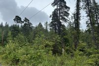 Land for sale in Wrangell Borough, Alaska