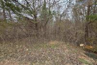 Undeveloped Land for sale in Sharp County, Arkansas