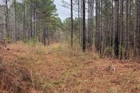 Land for sale in Calhoun County, Mississippi