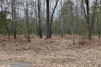 Undeveloped Land for sale in Gregg County, Texas