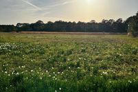 Land for sale in Accomack County, Virginia