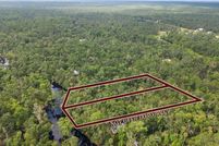 Land for sale in Taylor County, Florida