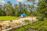 Undeveloped Land for sale in Dixie County, Florida
