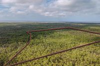 Land for sale in Dixie County, Florida