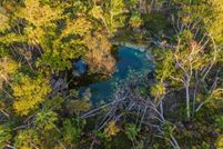 Undeveloped Land for sale in Dixie County, Florida