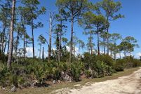 Land for sale in Levy County, Florida