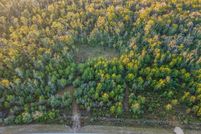 Land for sale in Dixie County, Florida