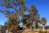 Farm and Ranch for sale in Dixie County, Florida
