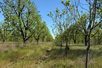 Timberland Property for sale in Lowndes County, Georgia