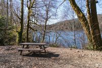 Undeveloped Land for sale in Clallam County, Washington