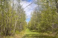 Land for sale in Price County, Wisconsin