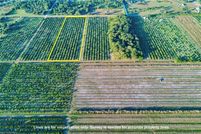 Land for sale in Highlands County, Florida