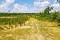Undeveloped Land for sale in Jackson County, Florida