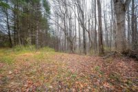 Land for sale in Floyd County, Virginia