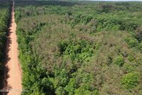 Land for sale in Carroll County, Mississippi