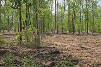 Land for sale in Tyler County, Texas
