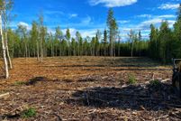 Timberland Property for sale in Southeast Fairbanks Borough, Alaska