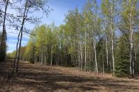 Farm and Ranch for sale in Southeast Fairbanks Borough, Alaska