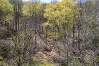 Land for sale in Lincoln County, West Virginia
