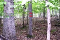 Hunting Property for sale in Mecklenburg County, Virginia