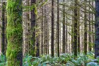 Farm and Ranch for sale in Coos County, Oregon