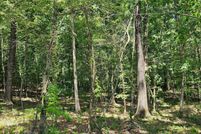 Undeveloped Land for sale in Columbia County, Arkansas