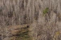 Hunting Property for sale in Weakley County, Tennessee