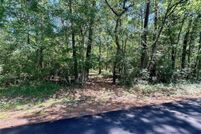 Undeveloped Land for sale in Montgomery County, Texas