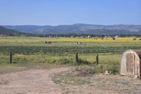 Farm and Ranch for sale in Apache County, Arizona