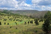 Land for sale in Grayson County, Virginia