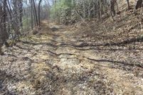 Timberland Property for sale in Patrick County, Virginia