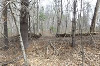 Timberland Property for sale in Carroll County, Virginia
