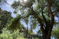 Land for sale in Wallowa County, Oregon