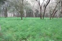 Land for sale in Volusia County, Florida