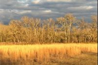 Land for sale in Noxubee County, Mississippi