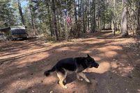Timberland Property for sale in Carroll County, New Hampshire