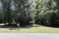 Timberland Property for sale in Madison County, Georgia