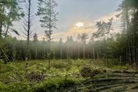 Timberland Property for sale in Caledonia County, Vermont