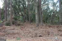 Undeveloped Land for sale in Cook County, Georgia