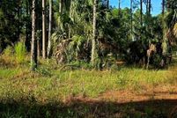 Farm and Ranch for sale in Dixie County, Florida