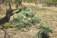 Recreational Property for sale in Montgomery County, Virginia