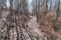 Undeveloped Land for sale in Meigs County, Ohio