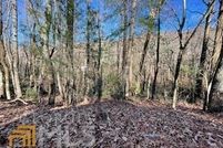Timberland Property for sale in Rabun County, Georgia